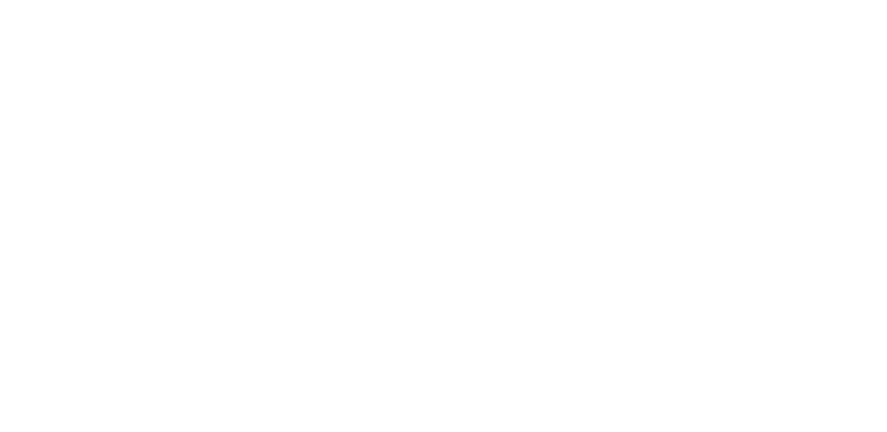 Naturally Namibia Logo